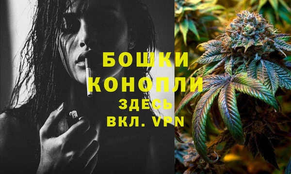 трава Беломорск
