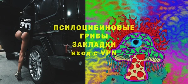 марки nbome Богданович