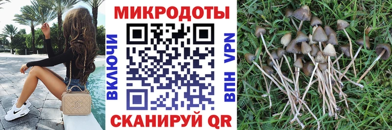 Галлюциногенные грибы ЛСД  что такое   Севск 